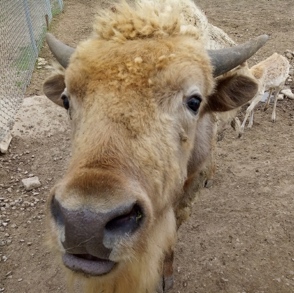 Meet your Posher, Jennifer